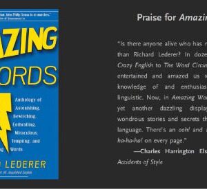 خرید و دانلود نسخه کامل کتاب Amazing Words: An Alphabetical Anthology of Alluring, Astonishing, Beguiling, Bewitching, Enchanting, Enthralling, Mesmerizing, Miraculous, Tantalizing, Tempting, and Transfixing Words