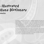 خرید و دانلود نسخه کامل کتاب An Illustrated Dictionary of Yulluna by Domains
