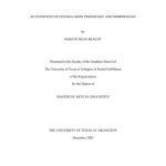 خرید و دانلود نسخه کامل کتاب An Overview of Central Dizin Phonology and Morphology