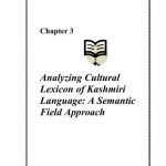 خرید و دانلود نسخه کامل کتاب Analyzing Cultural Lexicon of Kashmiri Language: A Semantic Field Approach