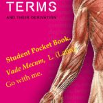 خرید و دانلود نسخه کامل کتاب Anatomical Terms and their Derivation