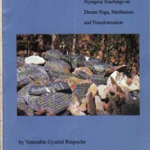 خرید و دانلود نسخه کامل کتاب Ancient Wisdom Nyingma Teachings On Dream Venerable