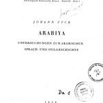 خرید و دانلود نسخه کامل کتاب Arabiya, Untersuchungen zur arabischen Sprach- und Stilgeschichte