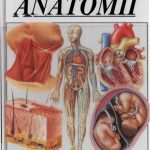 خرید و دانلود نسخه کامل کتاب Atlas Anatomii