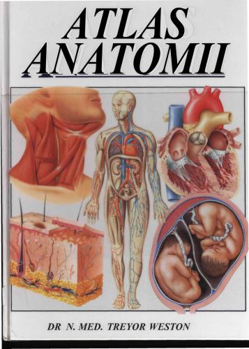 خرید و دانلود نسخه کامل کتاب Atlas Anatomii_68b9001045c9c.jpeg خرید و دانلود نسخه کامل کتاب Atlas Anatomii