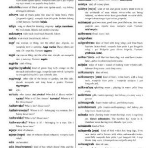 خرید و دانلود نسخه کامل کتاب Baruya-English Dictionary