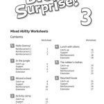 خرید و دانلود نسخه کامل کتاب Big Surprise! 3 Photocopiable