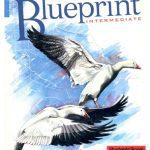 خرید و دانلود نسخه کامل کتاب Blueprint Intermediate: Student’s Book (Blueprint Series)