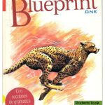 خرید و دانلود نسخه کامل کتاب Blueprint One: Student’s Book