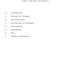 خرید و دانلود نسخه کامل کتاب Boiken phonemes