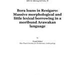 خرید و دانلود نسخه کامل کتاب Bora loans in Resígaro (Arawakan): Massive morphological and little lexical borrowing in a moribund Arawakan language