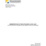 خرید و دانلود نسخه کامل کتاب Borrowings in the English language
