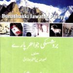خرید و دانلود نسخه کامل کتاب Burushaski Jawahir Paray. بروشسکی جواہر پارے