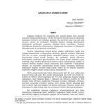 خرید و دانلود نسخه کامل کتاب Çağatayca Taberî Tarihi / Chagatai Turkish Taberan History