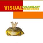 خرید و دانلود نسخه کامل کتاب California Treasures Grade 1 Visual Vocabulary Resources
