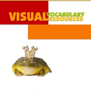 خرید و دانلود نسخه کامل کتاب California Treasures Grade 1 Visual Vocabulary Resources