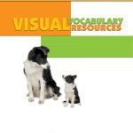 خرید و دانلود نسخه کامل کتاب California Treasures Kindergarten Visual Vocabulary Resources