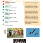 خرید و دانلود نسخه کامل کتاب Μαθηματικά Α’ Δημοτικού. Βιβλίa Μαθητή. 1o και 2o τεύχοi