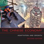 خرید و دانلود نسخه کامل کتاب Chinese Economy – Adaptation and Growth