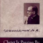 خرید و دانلود نسخه کامل کتاب Christ is Passing By