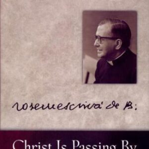 خرید و دانلود نسخه کامل کتاب Christ is Passing By