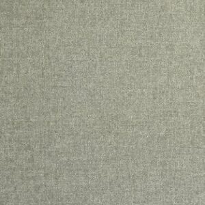 خرید و دانلود نسخه کامل کتاب Classification of South American Indian languages