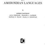 خرید و دانلود نسخه کامل کتاب Comparative Studies in Amerindian Languages