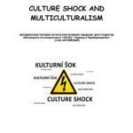 خرید و دانلود نسخه کامل کتاب Culture Shock and Multiculturalism