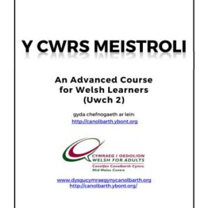 خرید و دانلود نسخه کامل کتاب Cwrs Meistroli