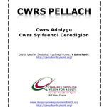 خرید و دانلود نسخه کامل کتاب Cwrs Pellach