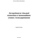 خرید و دانلود نسخه کامل کتاب Детермінанти тіньової економіки в інноваційних умовах господарювання