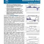 خرید و دانلود نسخه کامل کتاب Економічний огляд. Україна 2010