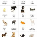 خرید و دانلود نسخه کامل کتاب Животные. Набор карточек