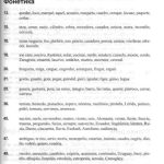 خرید و دانلود نسخه کامل کتاب Ключи к учебнику Español en vivo