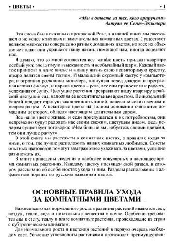 خرید و دانلود نسخه کامل کتاب Комнатные цветы._68b71d4a8096b.jpeg خرید و دانلود نسخه کامل کتاب Комнатные цветы.