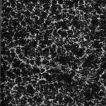 خرید و دانلود نسخه کامل کتاب Лексіконъ славенорωсскїй. Именъ Тлъкованїє