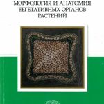 خرید و دانلود نسخه کامل کتاب Морфология и анатомия вегетативных органов растений