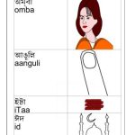 خرید و دانلود نسخه کامل کتاب Словарь – Assamese picture dictionary