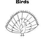 خرید و دانلود نسخه کامل کتاب Словарь-картинка – Birds