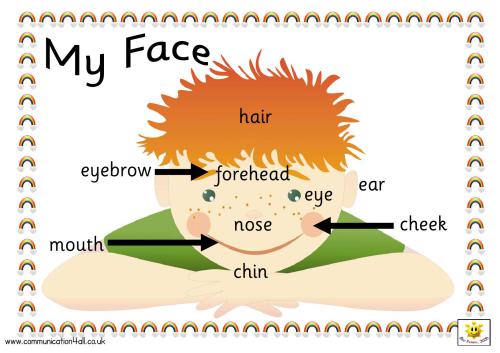 خرید و دانلود نسخه کامل کتاب Словарь – картинка – My face_68bea37fa2f95.jpeg خرید و دانلود نسخه کامل کتاب Словарь – картинка – My face