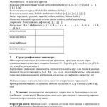 خرید و دانلود نسخه کامل کتاب Типологический паспорт немецкого языка