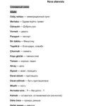 خرید و دانلود نسخه کامل کتاب Турецкий за 2 недели