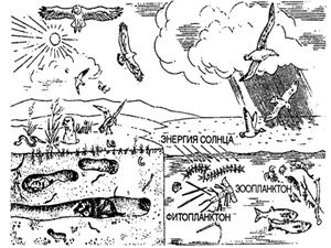 خرید و دانلود نسخه کامل کتاب Урок Мир природы. La nature