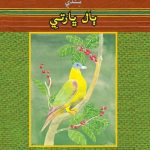 خرید و دانلود نسخه کامل کتاب سِنڌيِ ٻال ڀارتيِ دَرِجو ڇهون