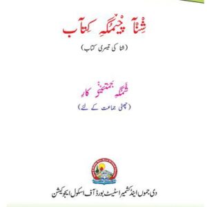 خرید و دانلود نسخه کامل کتاب شنآ دمگہ کتآب (شنا کی تیسری کتاب)
