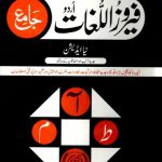 خرید و دانلود نسخه کامل کتاب فيروز اللغات جامع