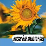 خرید و دانلود نسخه کامل کتاب Deftere Ba