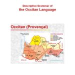 خرید و دانلود نسخه کامل کتاب Descriptive Grammar of the Occitan Language