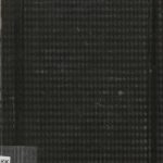 خرید و دانلود نسخه کامل کتاب Deutsch-Negerenglische Gespräche