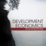 خرید و دانلود نسخه کامل کتاب Development Economics: Theory, Empirical Research, and Policy Analysis